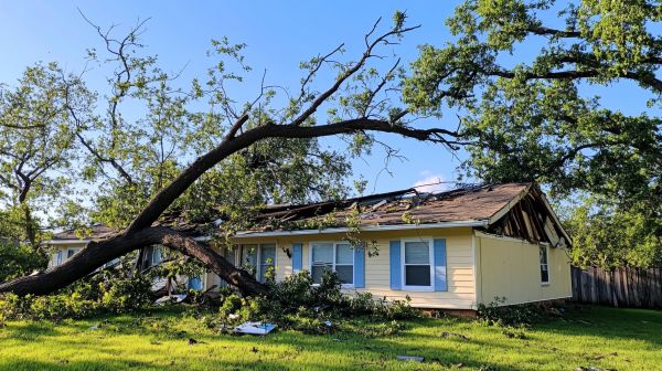Champaign Storm Restoration