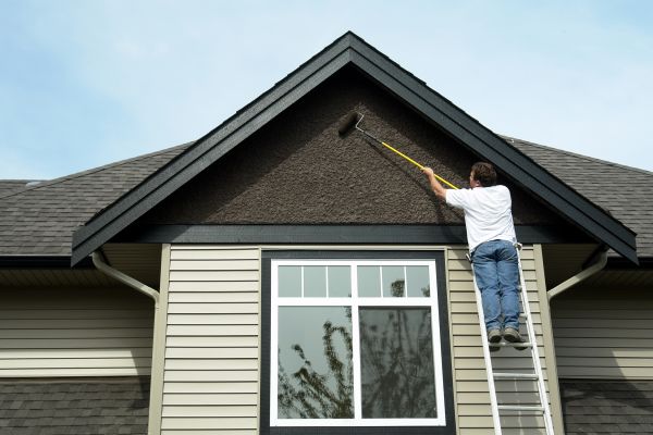 Champaign Exterior Painting